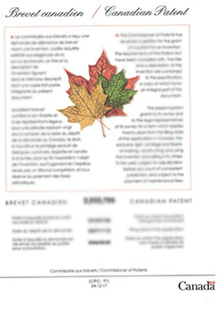 beat365网页版登录