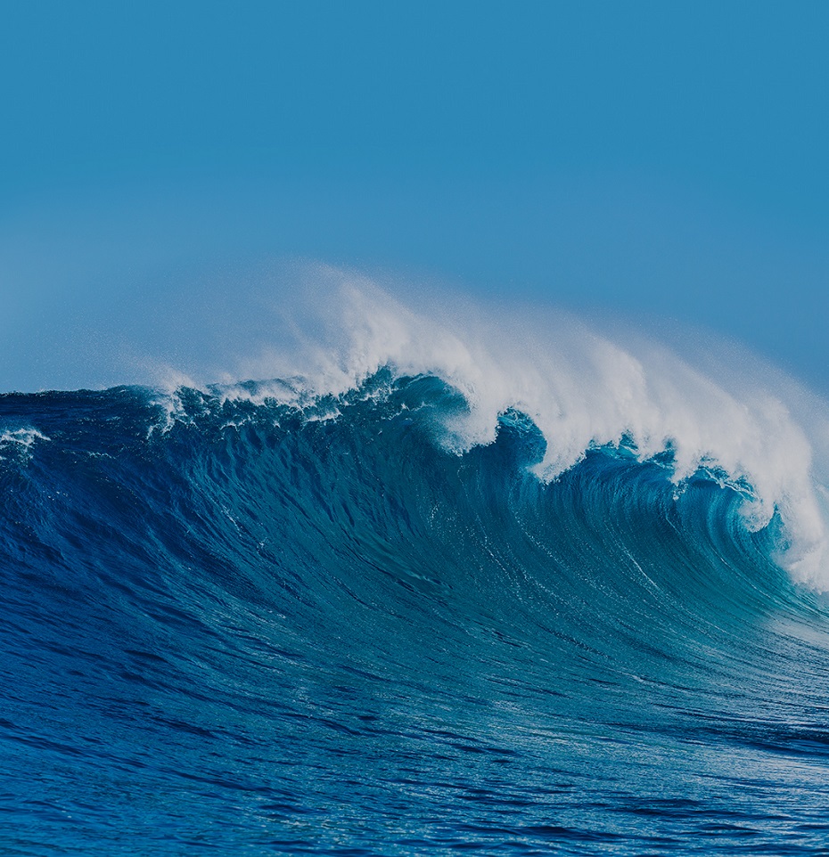 beat365网页版登录